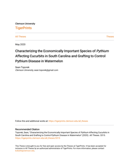 <I>Pythium</I> Affecting Cucurbits in South Carolina and Grafti