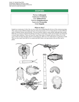 Isopod Crustaceans of the Caribbean