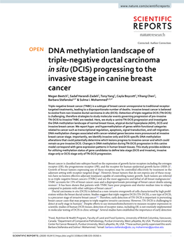 DNA Methylation Landscape of Triple-Negative Ductal Carcinoma in Situ