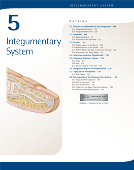 Integumentary System