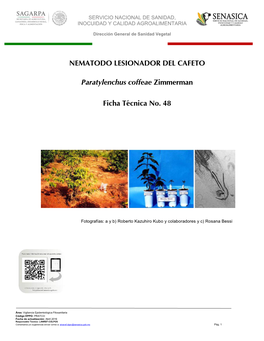 Ficha Técnica De Nematodo Lesionador (Pratylenchus Coffeae)