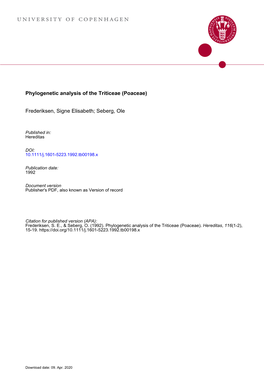 Phylogenetic Analysis of the Triticeae (Poaceae)