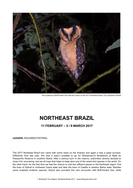 Northeast Brazil Tour (Eduardo Patrial)