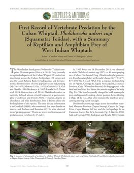 First Record of Vertebrate Predation By