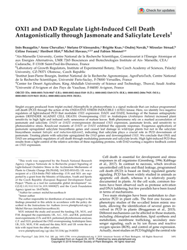 OXI1 and DAD Regulate Light-Induced Cell Death Antagonistically Through Jasmonate and Salicylate Levels1