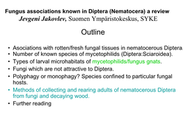 Nematocera) a Review Jevgeni Jakovlev, Suomen Ympäristokeskus, SYKE