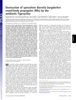 Destruction of Spirochete Borrelia Burgdorferi Round-Body Propagules (Rbs) by the Antibiotic Tigecycline