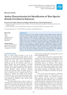 Antlers Characterization for Identification of Deer Species (Family Cervidae) in Indonesia