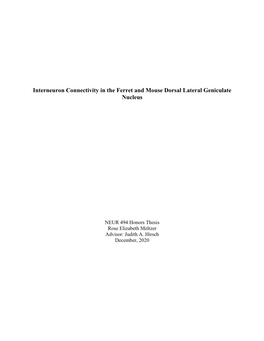 Interneuron Connectivity in the Ferret and Mouse Dorsal Lateral Geniculate Nucleus