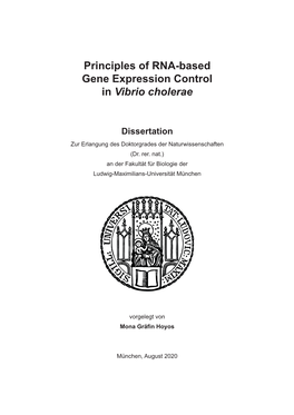 Principles of RNA-Based Gene Expression Control in Vibrio Cholerae