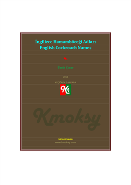 İngilizce Hamamböceği Adları ÜMÜT ÇINAR English Cockroach Names