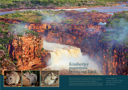 Kimberley Mammals Bouncing Back