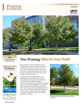 Tree Pruning: What Do Trees Think?