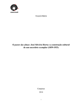 José Silvério Horta E a Construção Cultural De Um Sacerdote Exemplar (1859-1933)