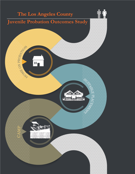 The Los Angeles County Juvenile Probation Outcomes Study