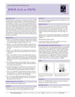 Datasheet Blank Template