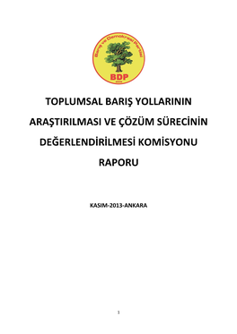 Toplumsal Bariş Yollarinin Araştirilmasi Ve Çözüm Sürecinin Değerlendirilmesi Komisyonu Raporu