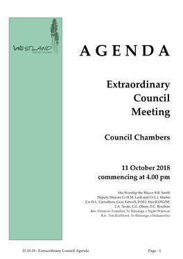 Extraordinary Council Meeting