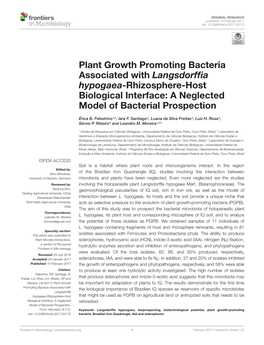 Plant Growth Promoting Bacteria Associated with Langsdorffia Hypogaea-Rhizosphere-Host Biological Interface: a Neglected Model O