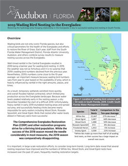 2019 Wading Bird Nesting in the Everglades