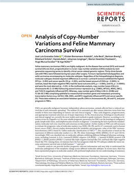 Analysis of Copy-Number Variations and Feline Mammary Carcinoma