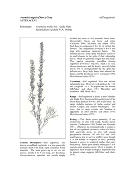 Artemisia Rigida (Nutt.) Gray Stiff Sagebrush ASTERACEAE