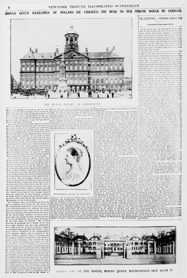 NEW-YORK TRIBUNE ILLUSTRATED SUPPLEMENT. the to WOLLD BE Gjouu) Queen WILHELMINA of HOLLAND DIE CHILDLESS Heirs HER THRONE GER.HANS PLANTING CHOOL 6KOI \'D