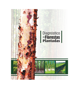 Diagnóstico De Florestas Plantadas Do Estado De Mato Grosso