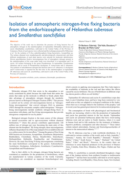 Isolation of Atmospheric Nitrogen-Free Fixing Bacteria from the Endorhizosphere of Helianthus Tuberosus and Smallanthus Sonchifolius