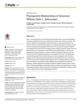 Phylogenetic Relationships of American Willows (Salix L., Salicaceae)