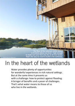 In the Heart of the Wetlands Water Provides Plenty of Opportunities for Wonderful Experiences in Rich Natural Settings