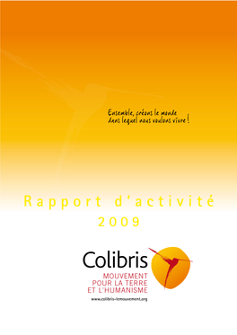 Rapport D'activité