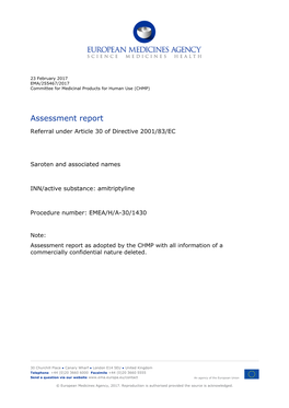 Assessment Report