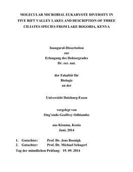 Molecular Microbial Eukaryote Diversity in Five Rift Valley Lakes and Description of Three Ciliates Species from Lake Bogoria, Kenya