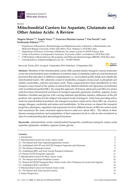 Mitochondrial Carriers for Aspartate, Glutamate and Other Amino Acids: a Review