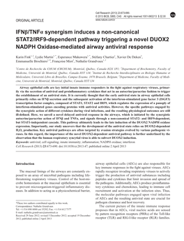 Ifnβ/Tnfα Synergism Induces a Non-Canonical STAT2/IRF9-Dependent Pathway Triggering a Novel DUOX2 NADPH Oxidase-Mediated Airway Antiviral Response