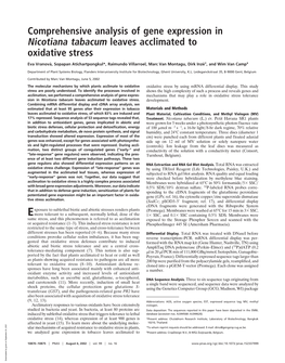 Comprehensive Analysis of Gene Expression in Nicotiana Tabacum Leaves Acclimated to Oxidative Stress