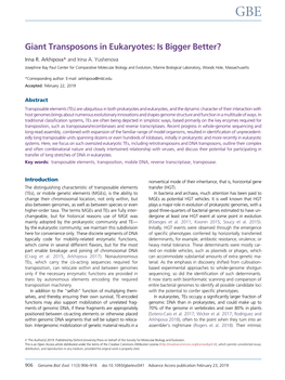 Giant Transposons in Eukaryotes: Is Bigger Better?