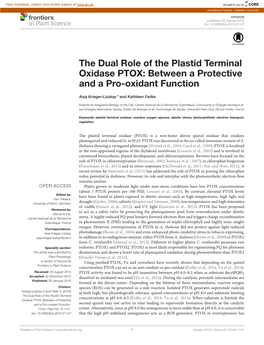 The Dual Role of the Plastid Terminal Oxidase PTOX: Between a Protective and a Pro-Oxidant Function