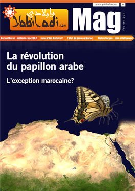 La Révolution Du Papillon Arabe