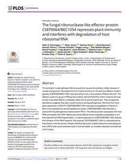 The Fungal Ribonuclease-Like Effector Protein CSEP0064/BEC1054 Represses Plant Immunity and Interferes with Degradation of Host Ribosomal RNA