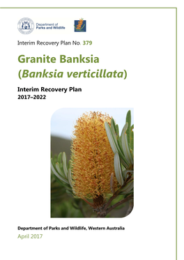 Banksia Verticillata)