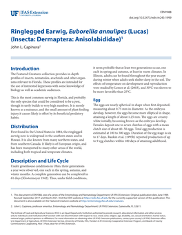 Ringlegged Earwig, Euborellia Annulipes (Lucas) (Insecta: Dermaptera: Anisolabididae)1 John L