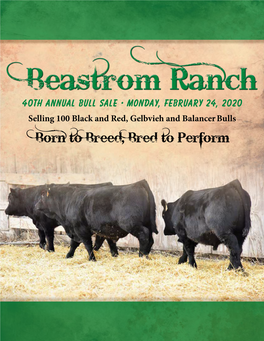 Born to Breed, Bred to Perform 40Th Annual Bull Sale • Monday, February 24, 2020 1:00 P.M