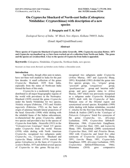 On Cryptarcha Shuckard of North-East India (Coleoptera: Nitidulidae: Cryptarchinae) with Description of a New Species