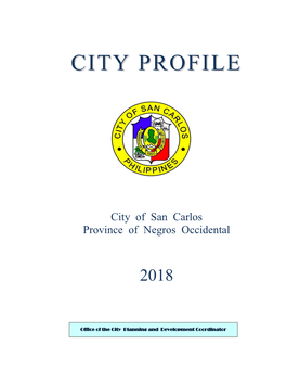 San Carlos City Profile 2018.Pdf