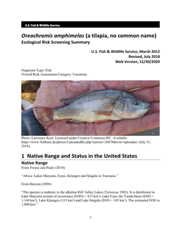 Oreochromis Amphimelas (A Tilapia, No Common Name) Ecological Risk Screening Summary