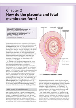 Chapter 2 How Do the Placenta and Fetal Membranes Form?