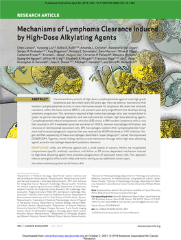 Mechanisms of Lymphoma Clearance Induced by High-Dose Alkylating Agents