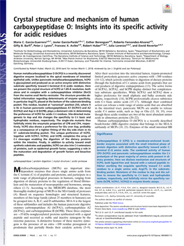 Crystal Structure and Mechanism of Human Carboxypeptidase O: Insights Into Its Specific Activity for Acidic Residues